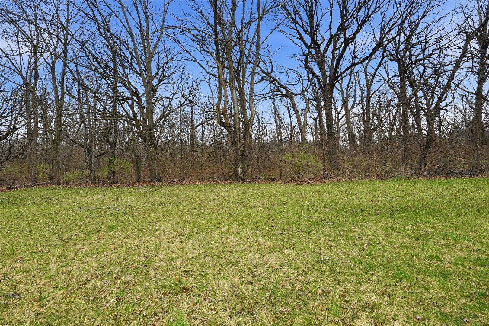 5525 West Heatherbrook Trail Monee, IL 60449 - Photo 3 of 20 a view of backyard with large trees