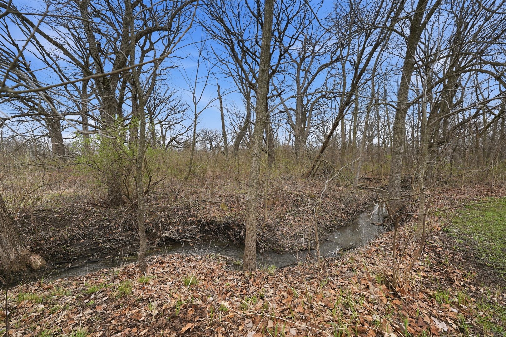 5525 West Heatherbrook Trail Monee, IL 60449 - Photo 6 of 20 a backyard of a house with lots of green space
