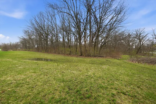 a view of outdoor space with trees all around