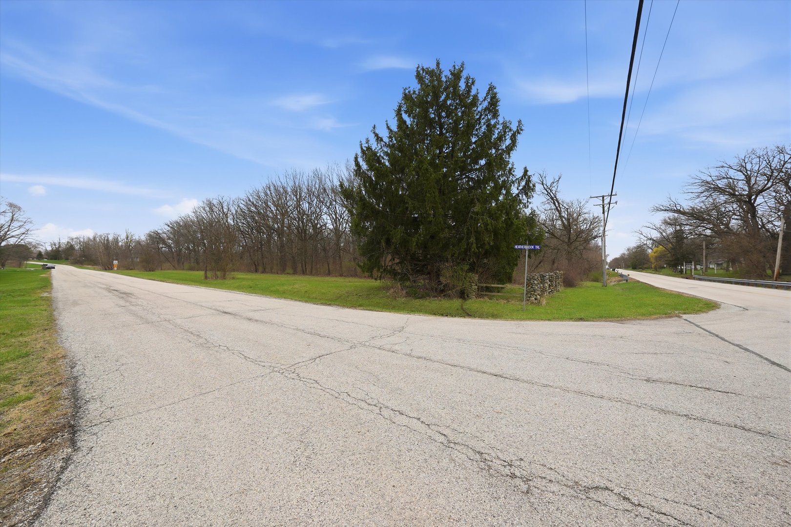 5525 West Heatherbrook Trail Monee, IL 60449 - Photo 8 of 20 a view of a park with large trees