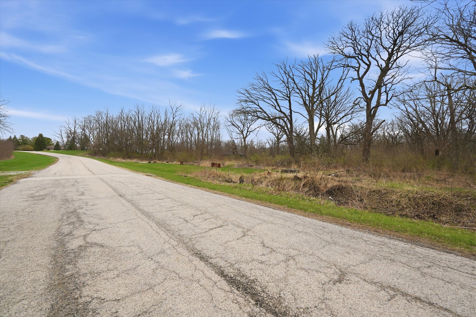 5525 West Heatherbrook Trail Monee, IL 60449 - Photo 9 of 20 a view of a yard with an trees