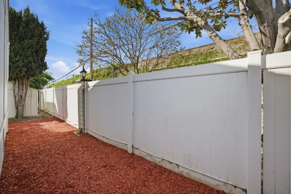a view of a yard with a tree
