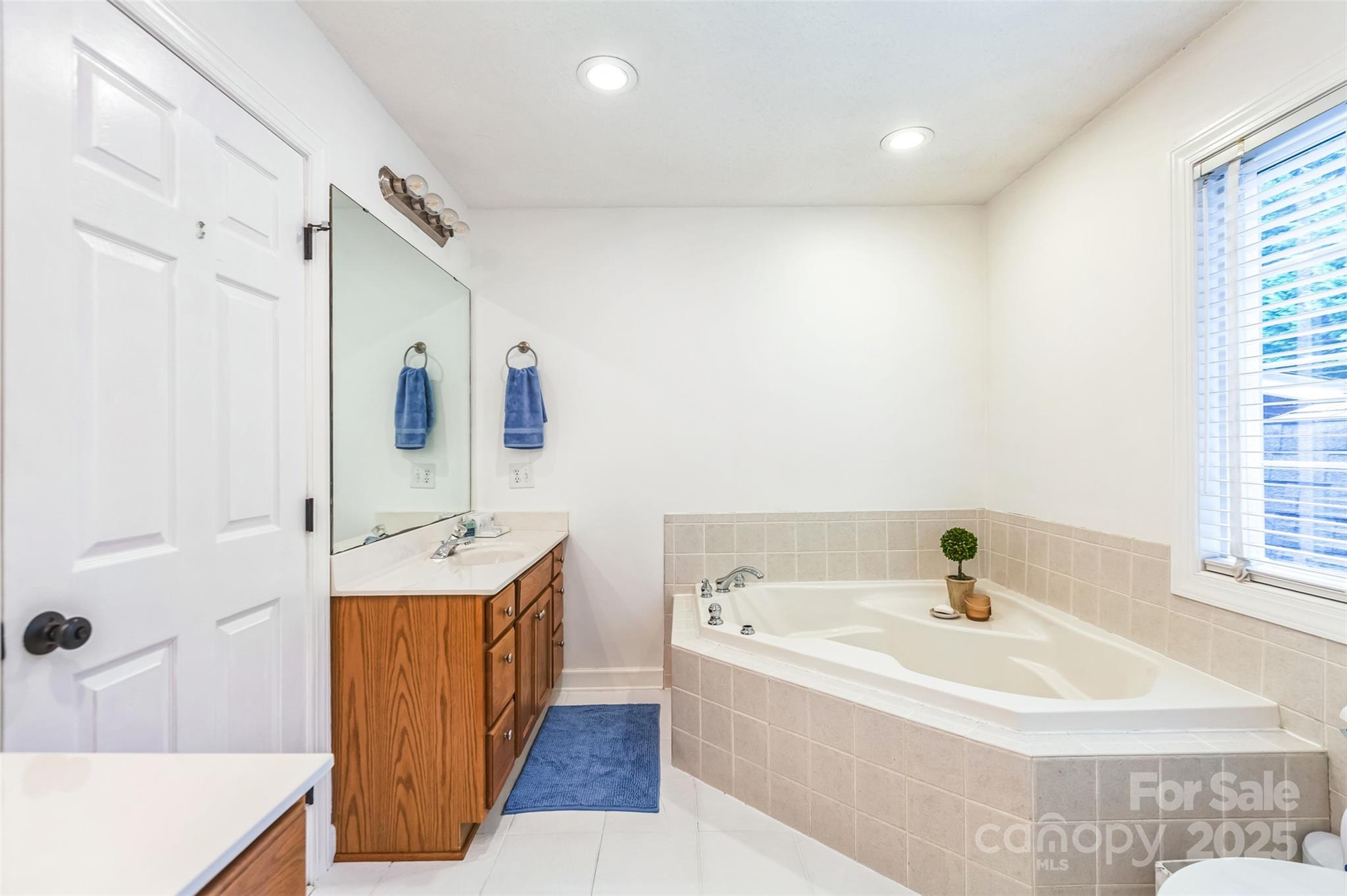 150 Marys Lane Rutherfordton, NC 28139 - Photo 17 of 35 a bathroom with a tub sink and mirror