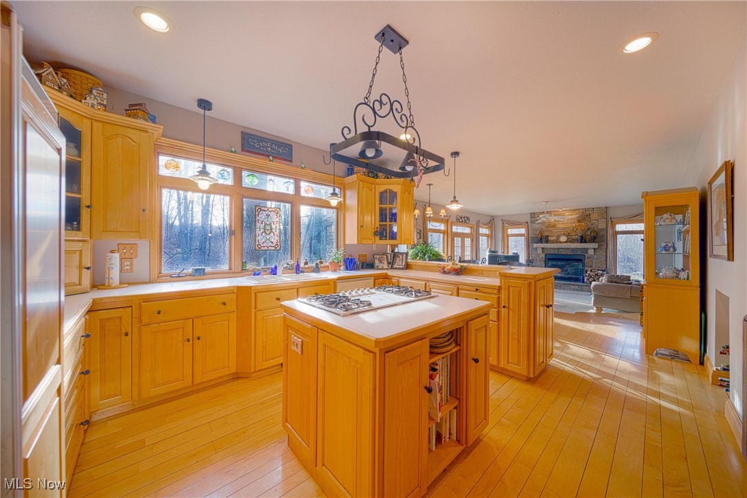 Kitchen with a kitchen island, stainless steel appliances, light wood-type flooring, and a fireplace