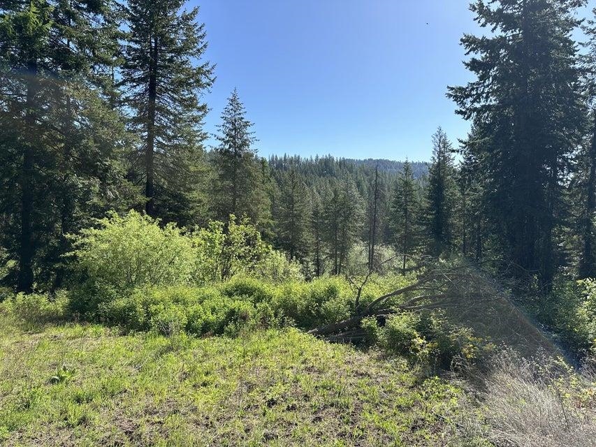 Xxx Gennett Road Springdale, WA 99173 - Photo 1 of 24