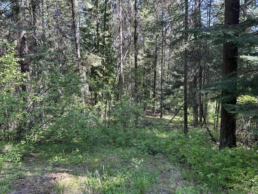 Xxx Gennett Road Springdale, WA 99173 - Photo 12 of 24