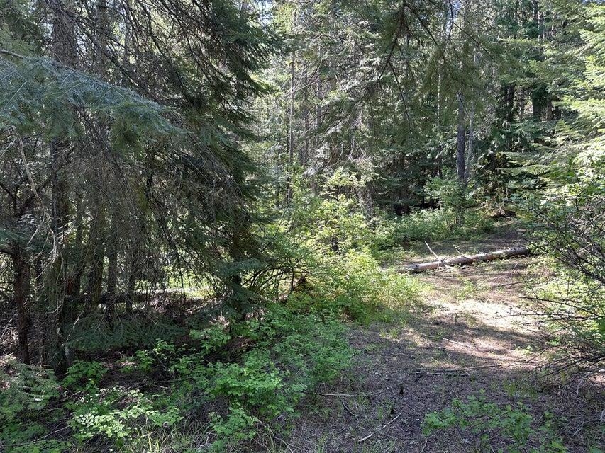 Xxx Gennett Road Springdale, WA 99173 - Photo 14 of 24