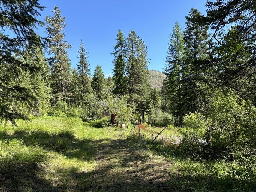 Xxx Gennett Road Springdale, WA 99173 - Photo 2 of 24