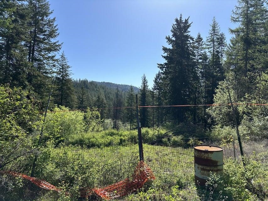Xxx Gennett Road Springdale, WA 99173 - Photo 3 of 24