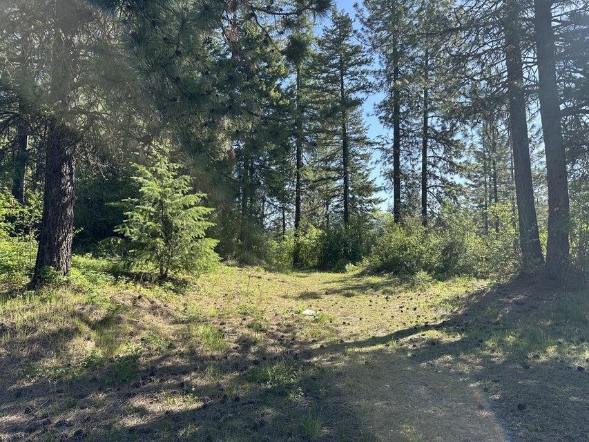 Xxx Gennett Road Springdale, WA 99173 - Photo 5 of 24