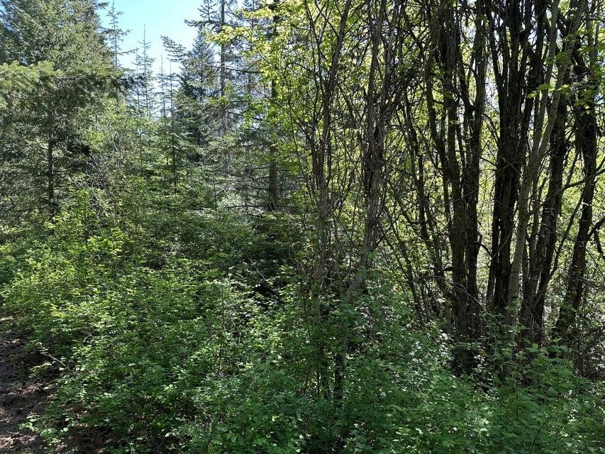 Xxx Gennett Road Springdale, WA 99173 - Photo 7 of 24