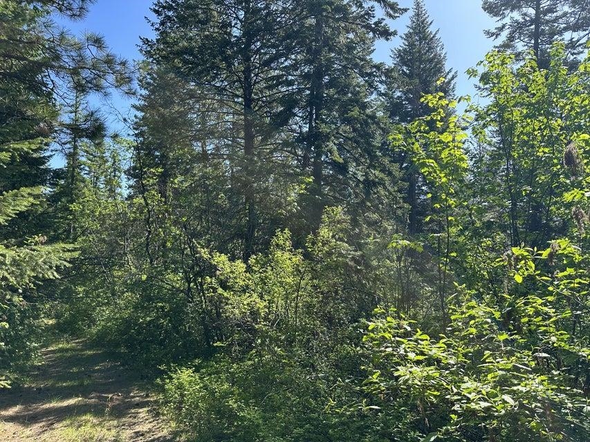 Xxx Gennett Road Springdale, WA 99173 - Photo 8 of 24