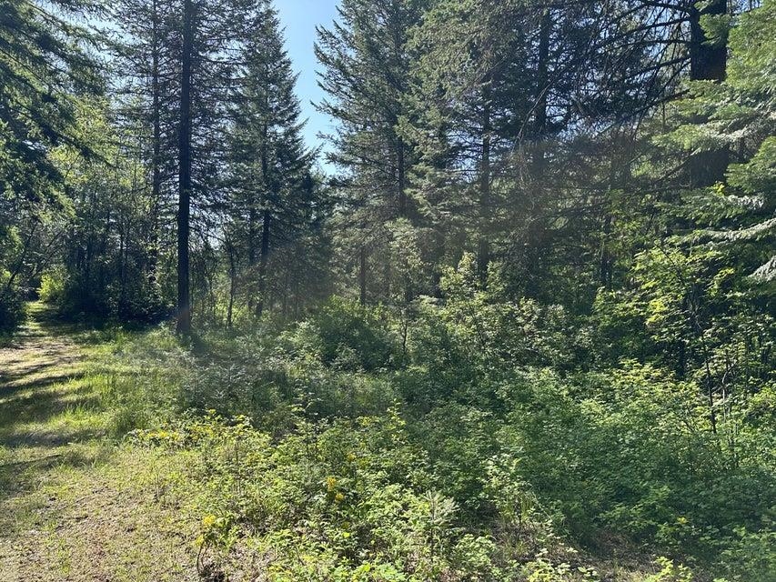 Xxx Gennett Road Springdale, WA 99173 - Photo 9 of 24