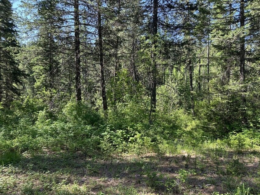 Xxx Gennett Road Springdale, WA 99173 - Photo 10 of 24