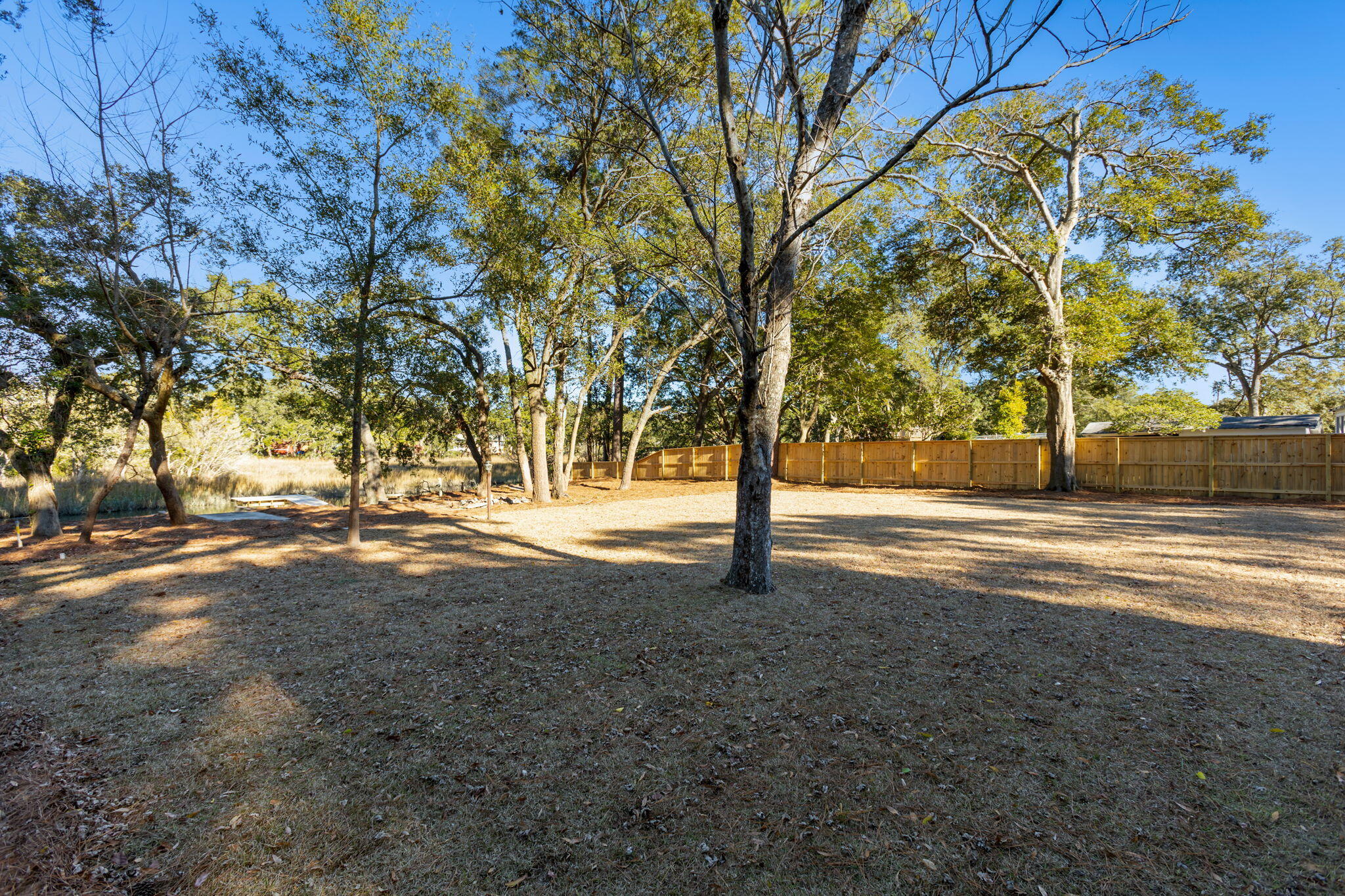 1216 Taliaferro Avenue Charleston, SC 29412 - Photo 27 of 36 expansive backyard