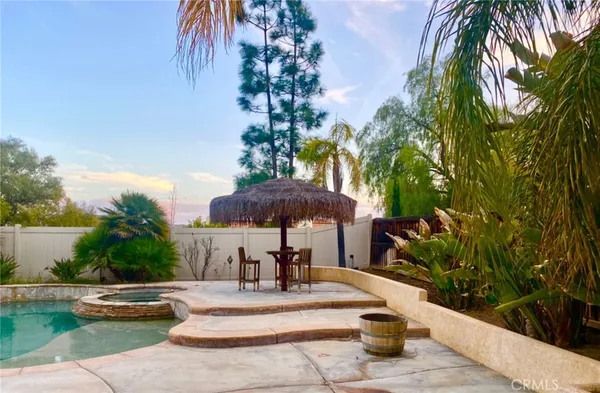 a view of a park with plants and palm trees
