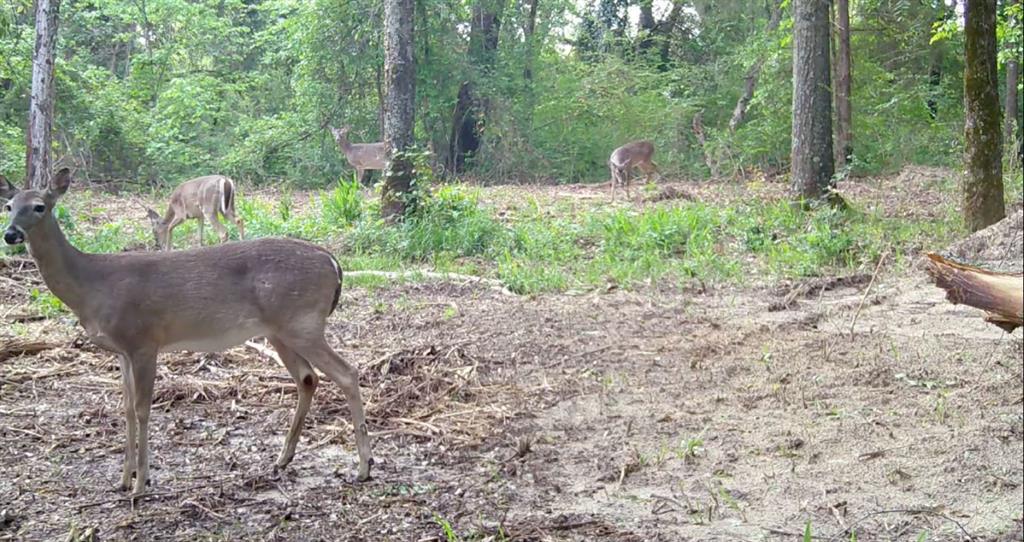 1411 Vz County Road 2139 Wills Point, TX 75169 - Photo 17 of 38