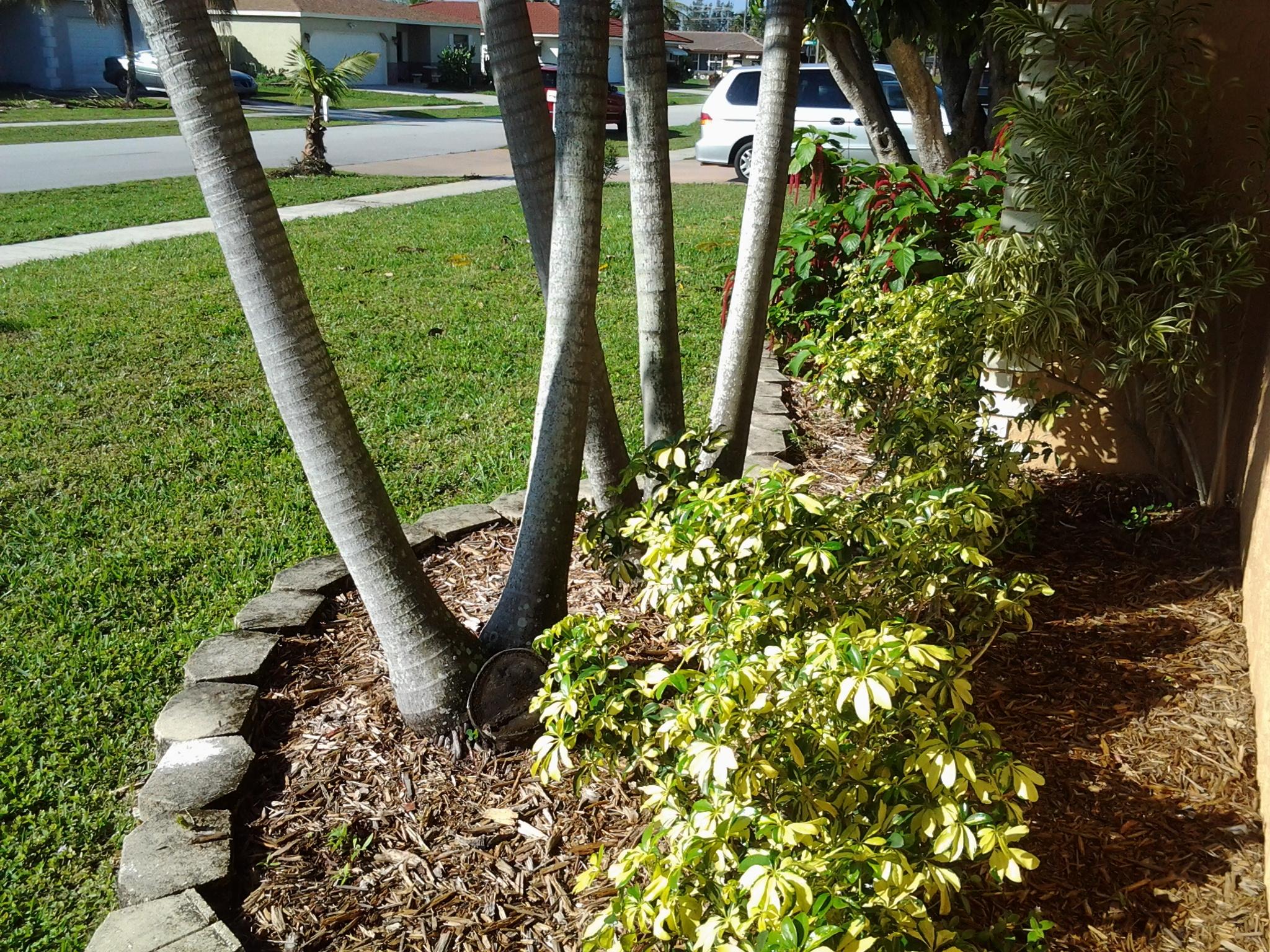 10901 Gallery Street Boca Raton, FL 33428 - Photo 10 of 49 20150122_100709