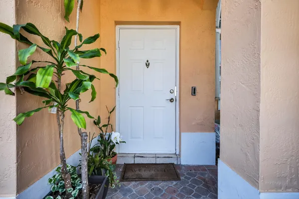 a view of a potted plant in front of a bathroom