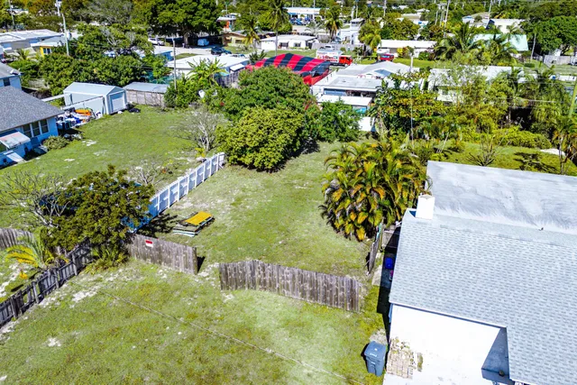 a picture of flowers