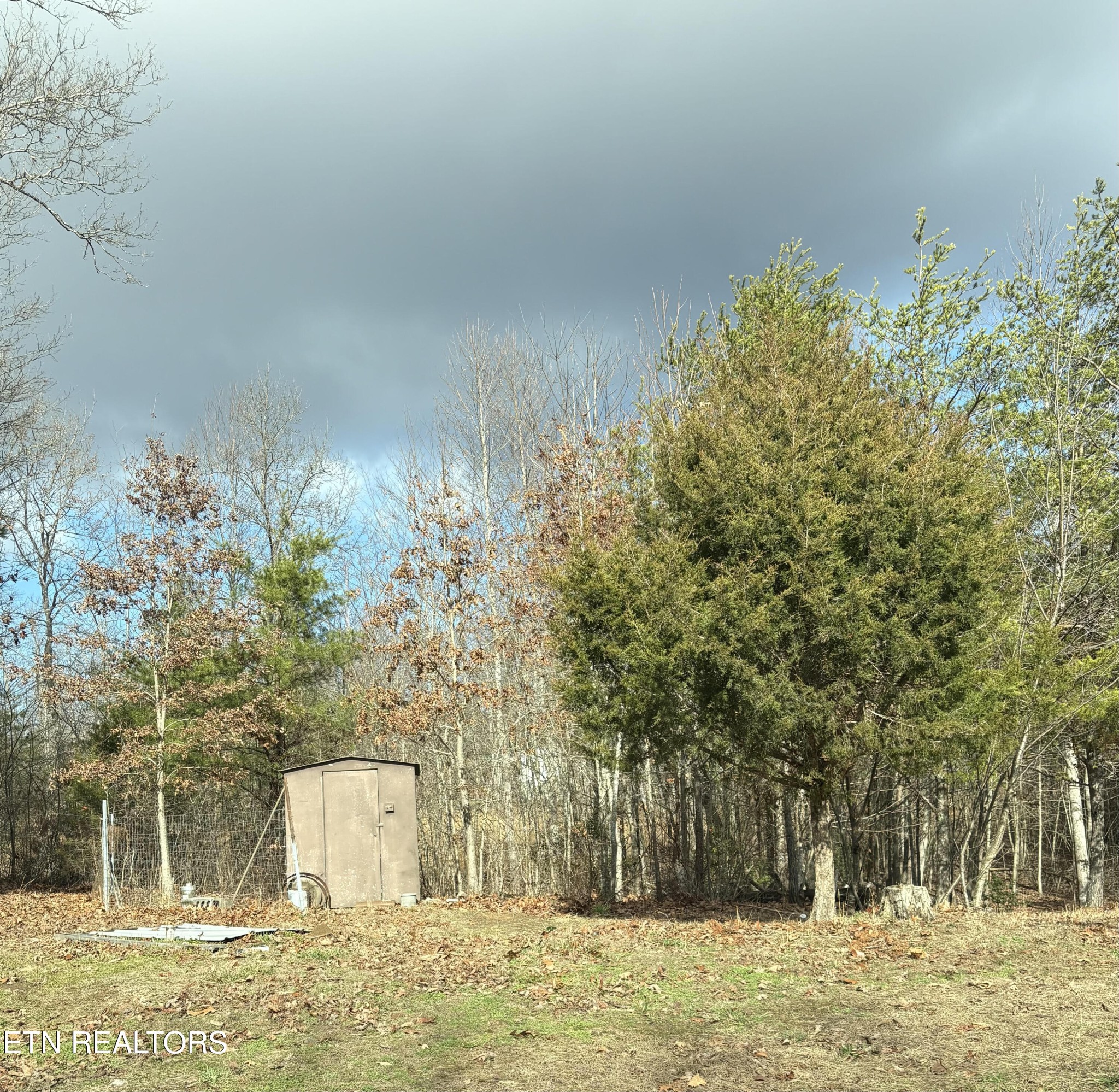 106 Swafford Road Spring City, TN 37381 - Photo 3 of 19 a view of outdoor space and yard
