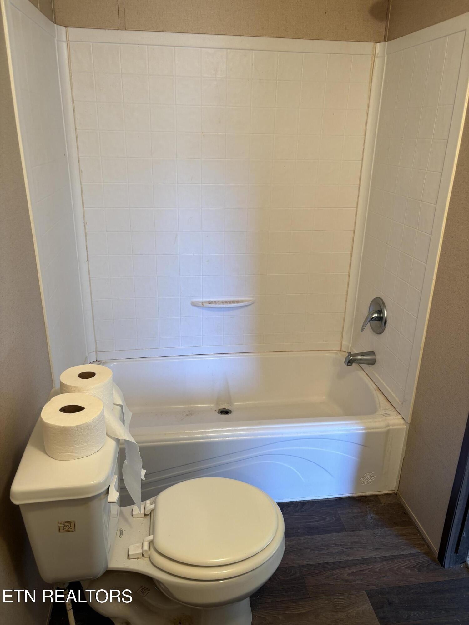 106 Swafford Road Spring City, TN 37381 - Photo 10 of 19 a bathroom with a sink and a toilet