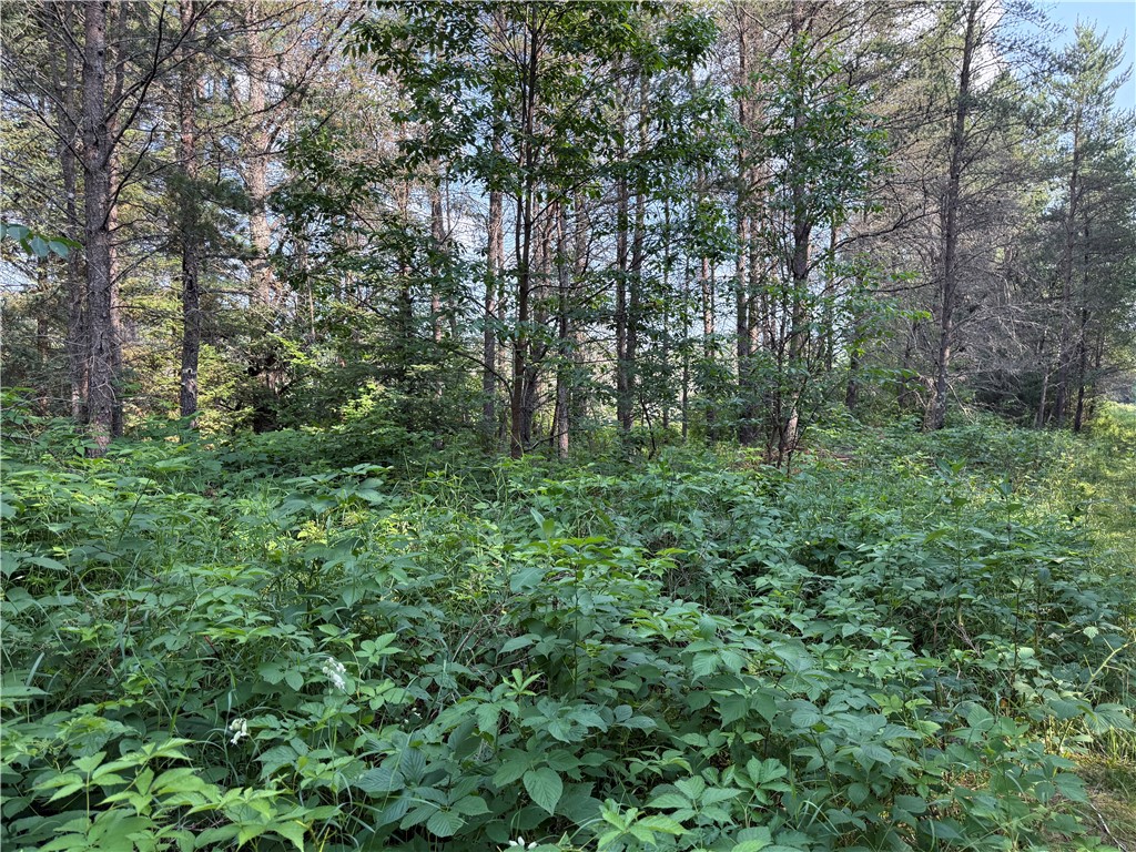 0 Tagalder Trail Hayward, WI 54843 - Photo 18 of 23