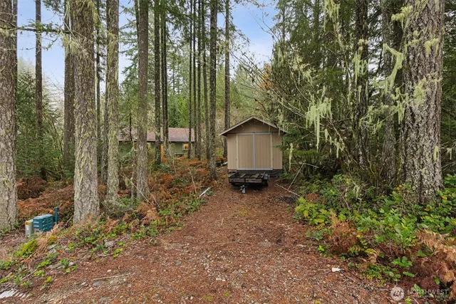 a view of backyard and house