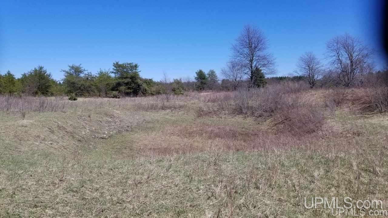 29-acr Pond Road Iron River, MI 49935 - Photo 19 of 29 Gallery Image 19