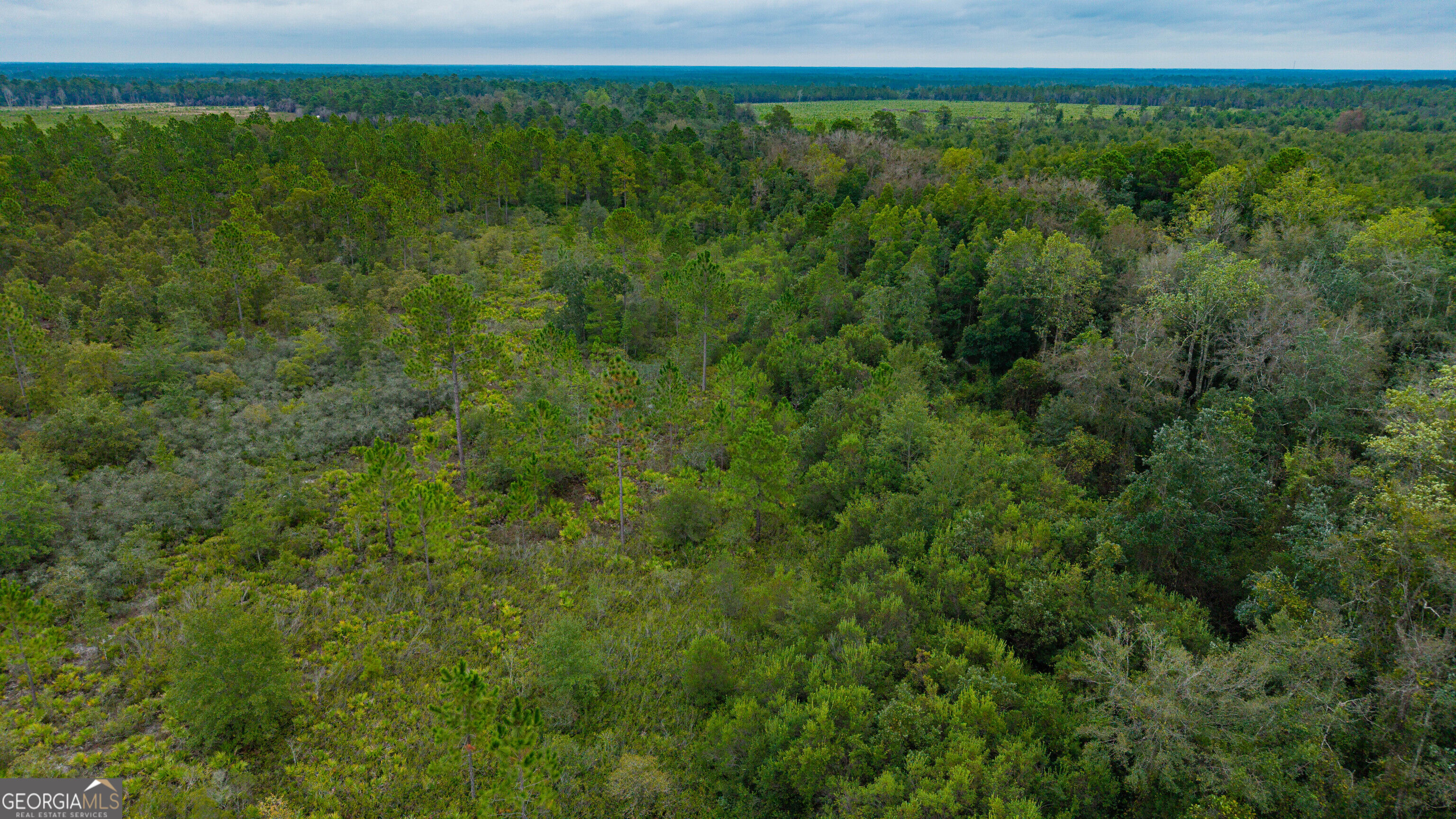 0 Bennett Road Screven, GA 31560 - Photo 50 of 52 Gallery Image 50