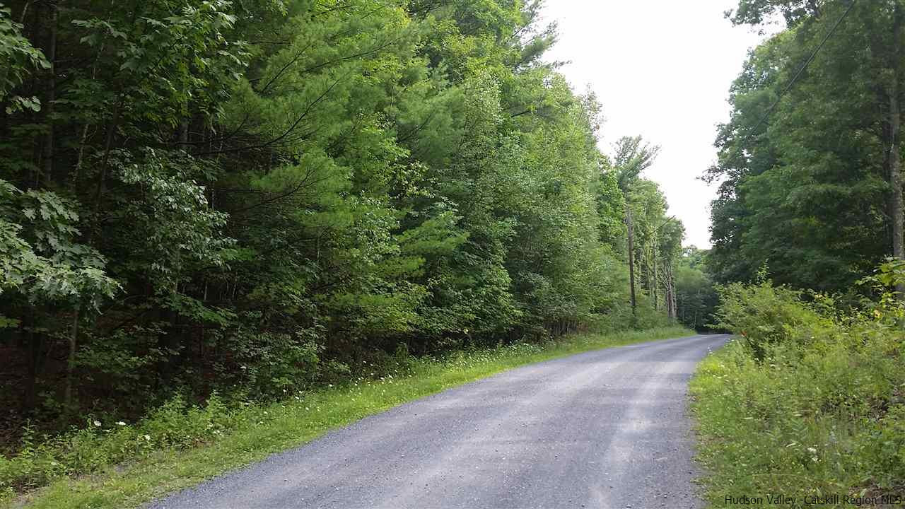 11 Paradise Lake Road Catskill, NY 12414 - Photo 3 of 5 Photo 3