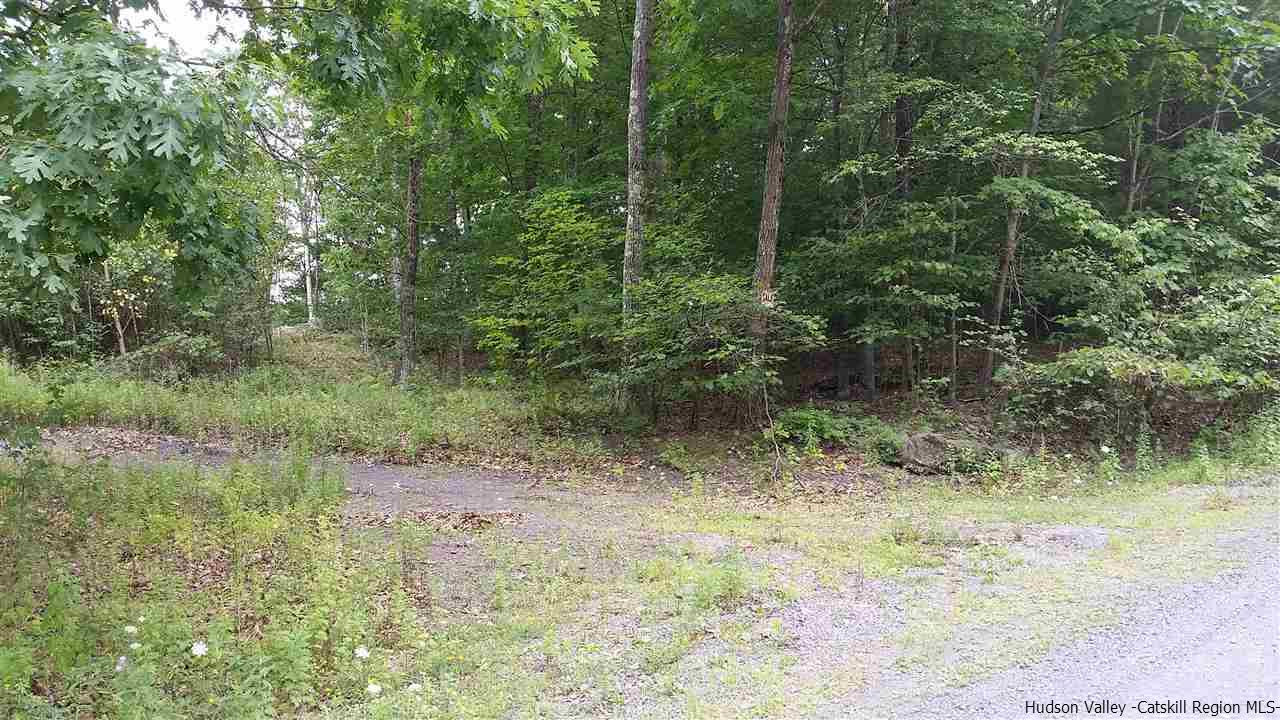 11 Paradise Lake Road Catskill, NY 12414 - Photo 4 of 5 Photo 4