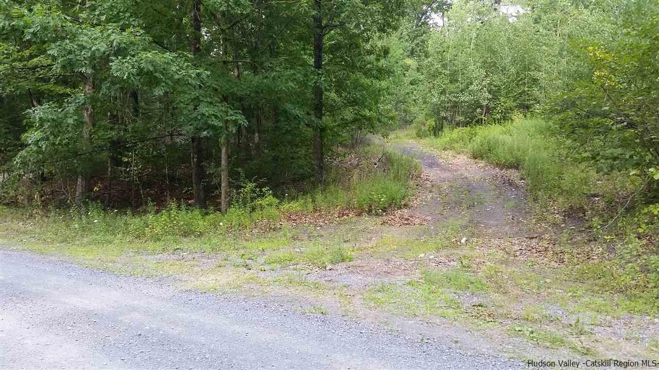 11 Paradise Lake Road Catskill, NY 12414 - Photo 5 of 5 Photo 5