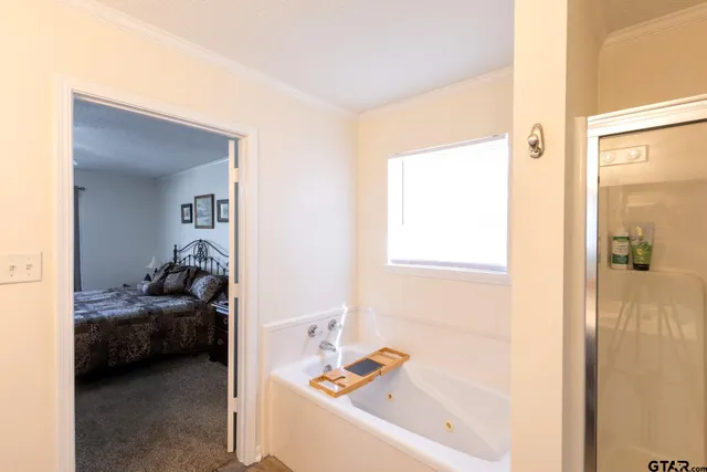 a en suite bathroom with a tub and view bedroom