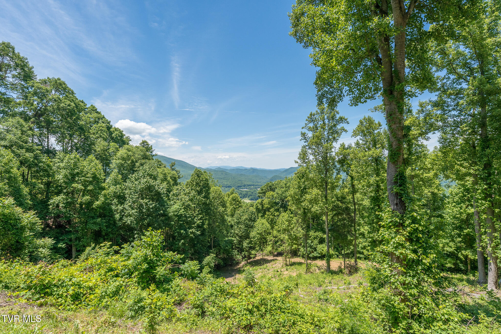 4 Ridgetop Lane, Unit 4 Unicoi, TN 37692 - Photo 9 of 15 Lot 4 Ridgetop Ln (32 of 34)