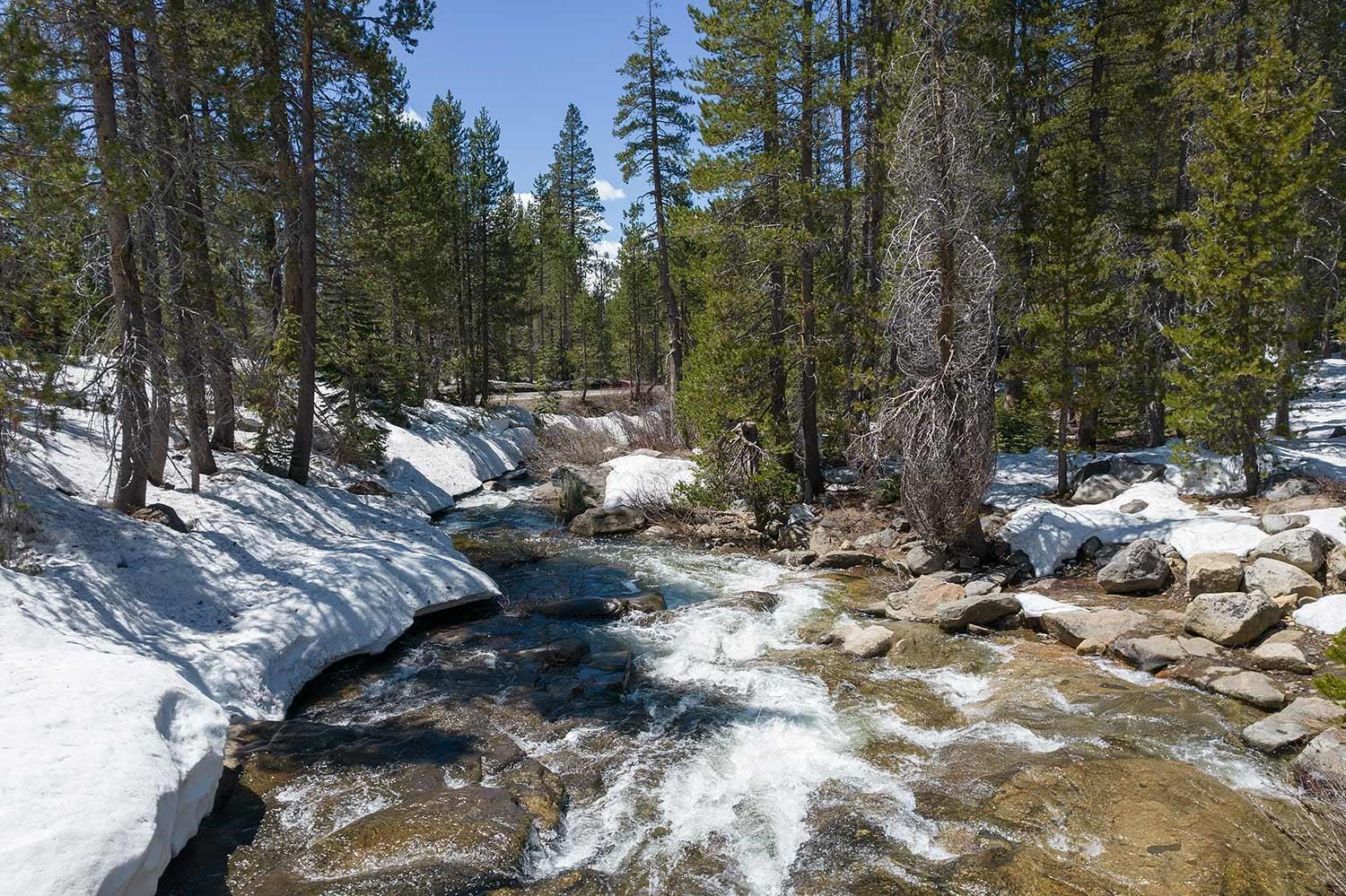 20954 Donner Pass Road Soda Springs, CA 95728 - Photo 1 of 15 a view of a fire pit with large trees