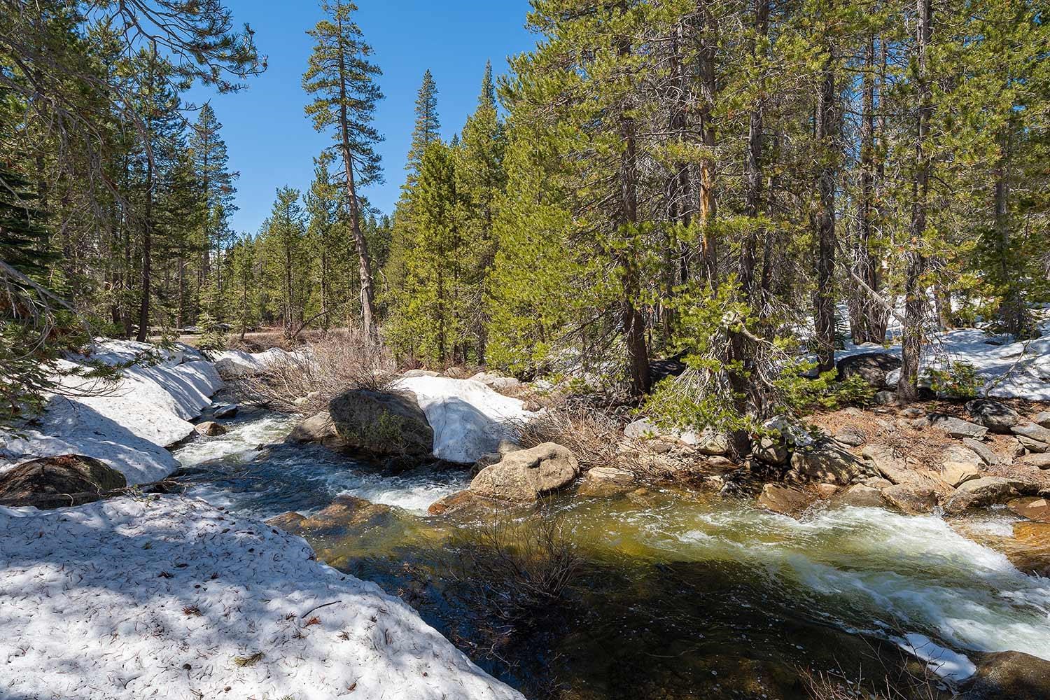 20954 Donner Pass Road Soda Springs, CA 95728 - Photo 12 of 15 a view of a backyard of the house