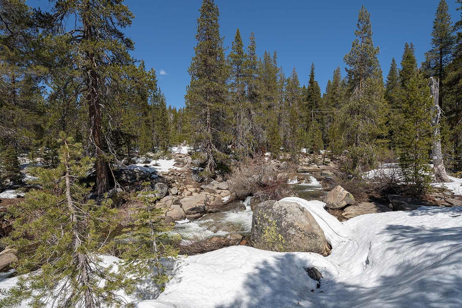 20954 Donner Pass Road Soda Springs, CA 95728 - Photo 13 of 15 a view of outdoor space and tree