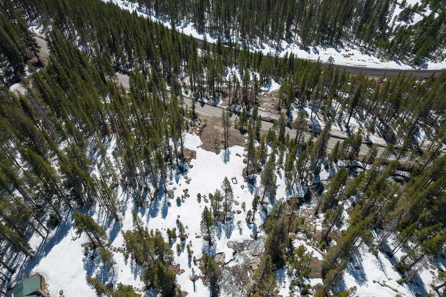 20954 Donner Pass Road Soda Springs, CA 95728 - Photo 2 of 15 a view of a tree in a garden