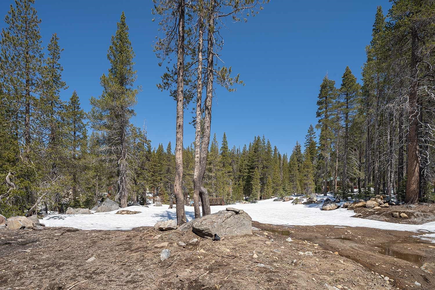 20954 Donner Pass Road Soda Springs, CA 95728 - Photo 10 of 15 a view of a yard with snow on the road