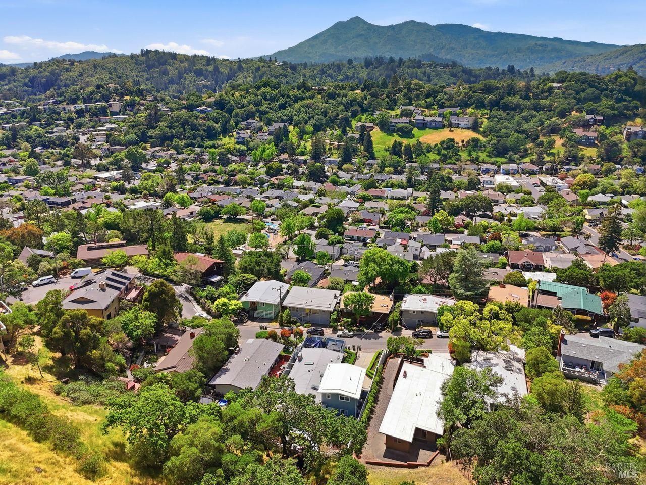 29 Windsor Avenue San Rafael, CA 94901 - Photo 46 of 51
