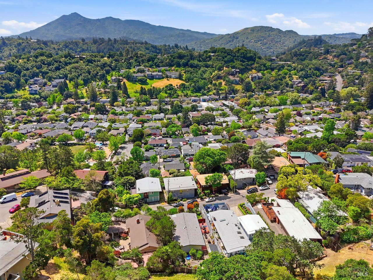 29 Windsor Avenue San Rafael, CA 94901 - Photo 47 of 51