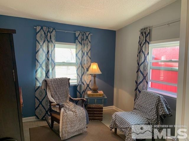 7820 Remington Road Silver Springs, NV 89429 - Photo 9 of 14 Photo 9