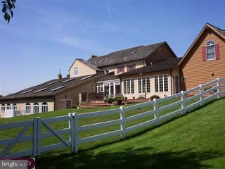 221 Hadfield Road Downingtown, PA 19335 - Photo 5 of 6 Gallery Image 5