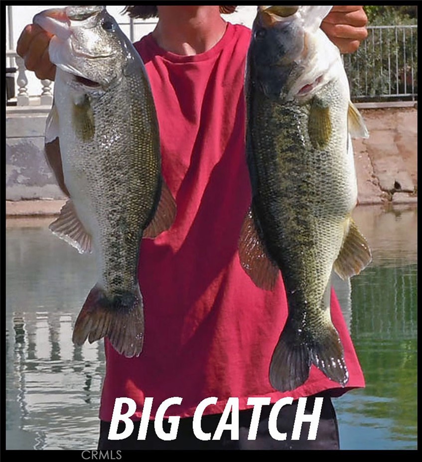 26701 Bluewater Road Helendale, CA 92342 - Photo 12 of 22 a close up of a sign board