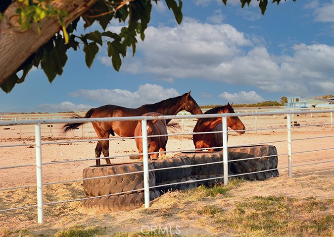 26701 Bluewater Road Helendale, CA 92342 - Photo 20 of 22 a view of a room with racks on the wall