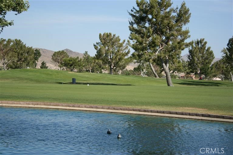 26701 Bluewater Road Helendale, CA 92342 - Photo 10 of 22 a view of a golf course