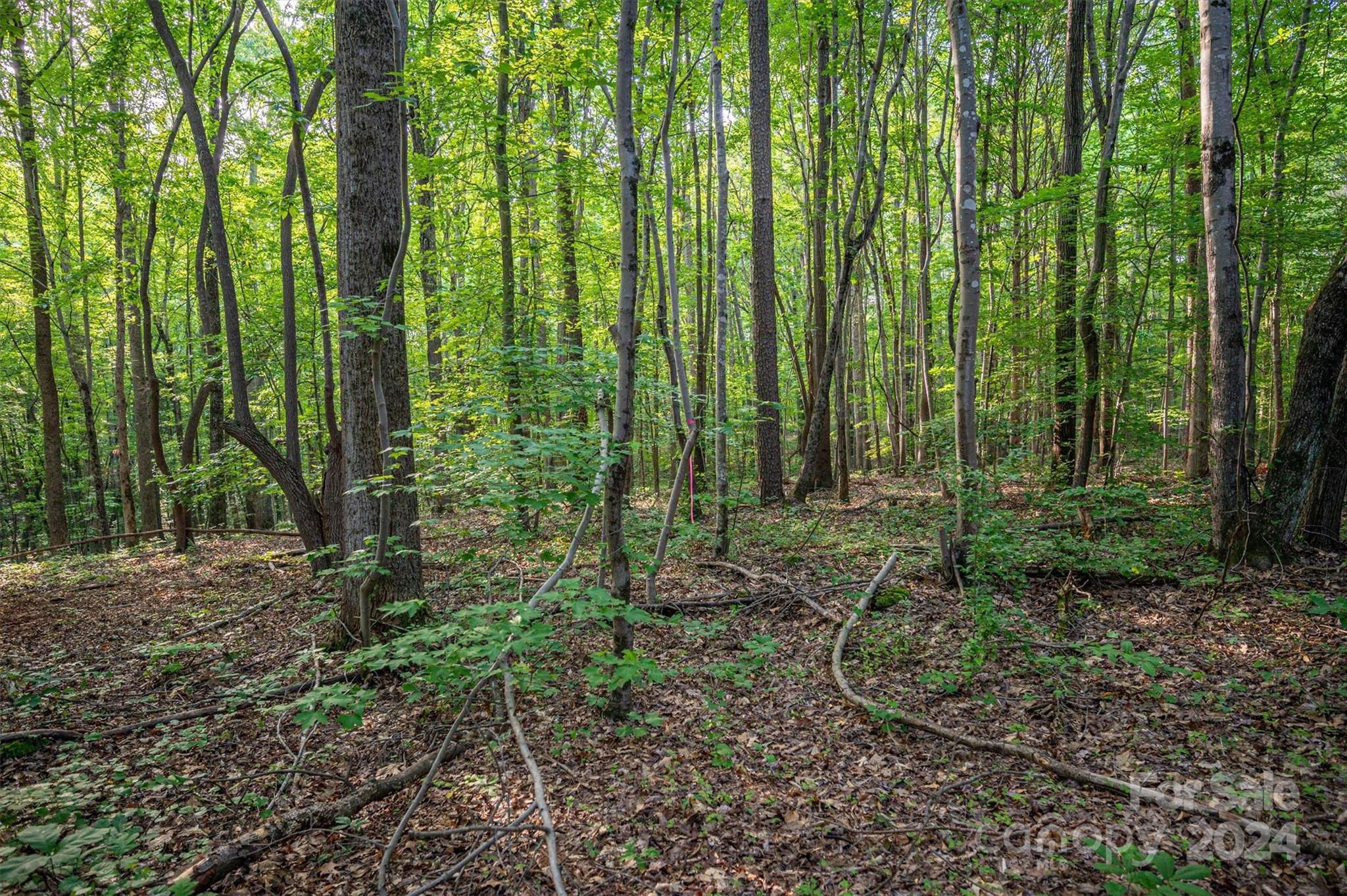 5117 Grassy Creek Road Denver, NC 28037 - Photo 12 of 12 a view of outdoor space and green space