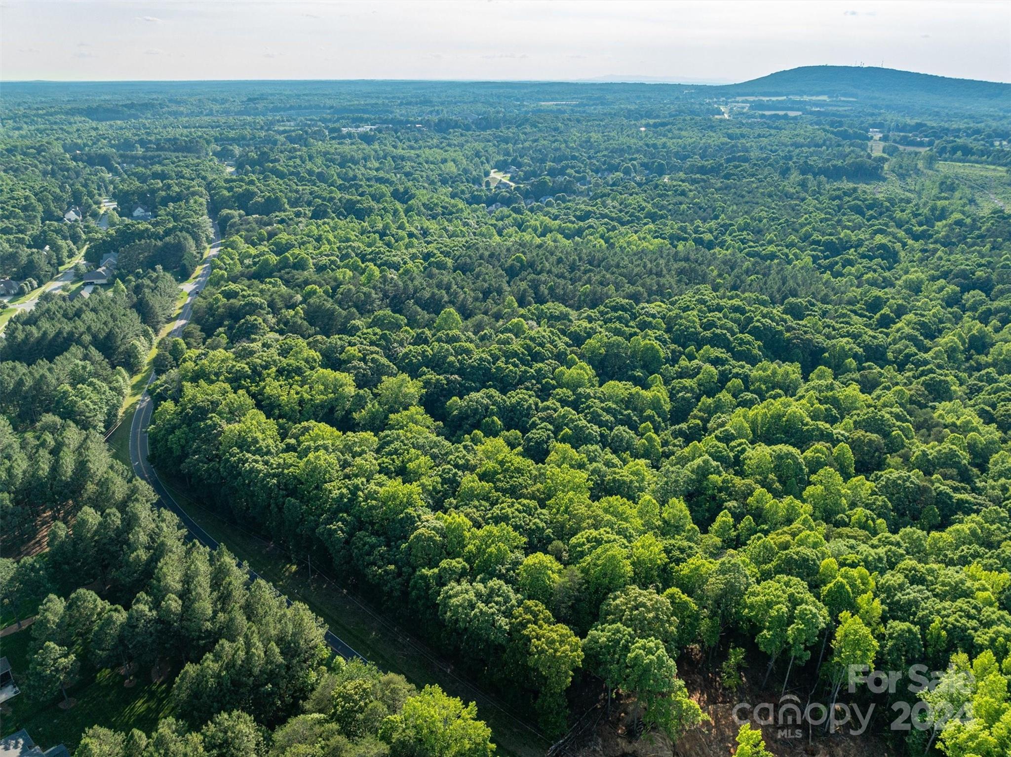 5117 Grassy Creek Road Denver, NC 28037 - Photo 8 of 12 a view of a green field with lots of bushes
