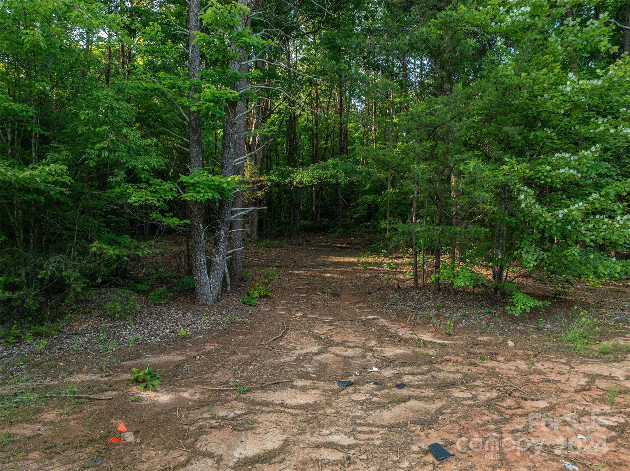 5117 Grassy Creek Road Denver, NC 28037 - Photo 9 of 12 a view of a forest